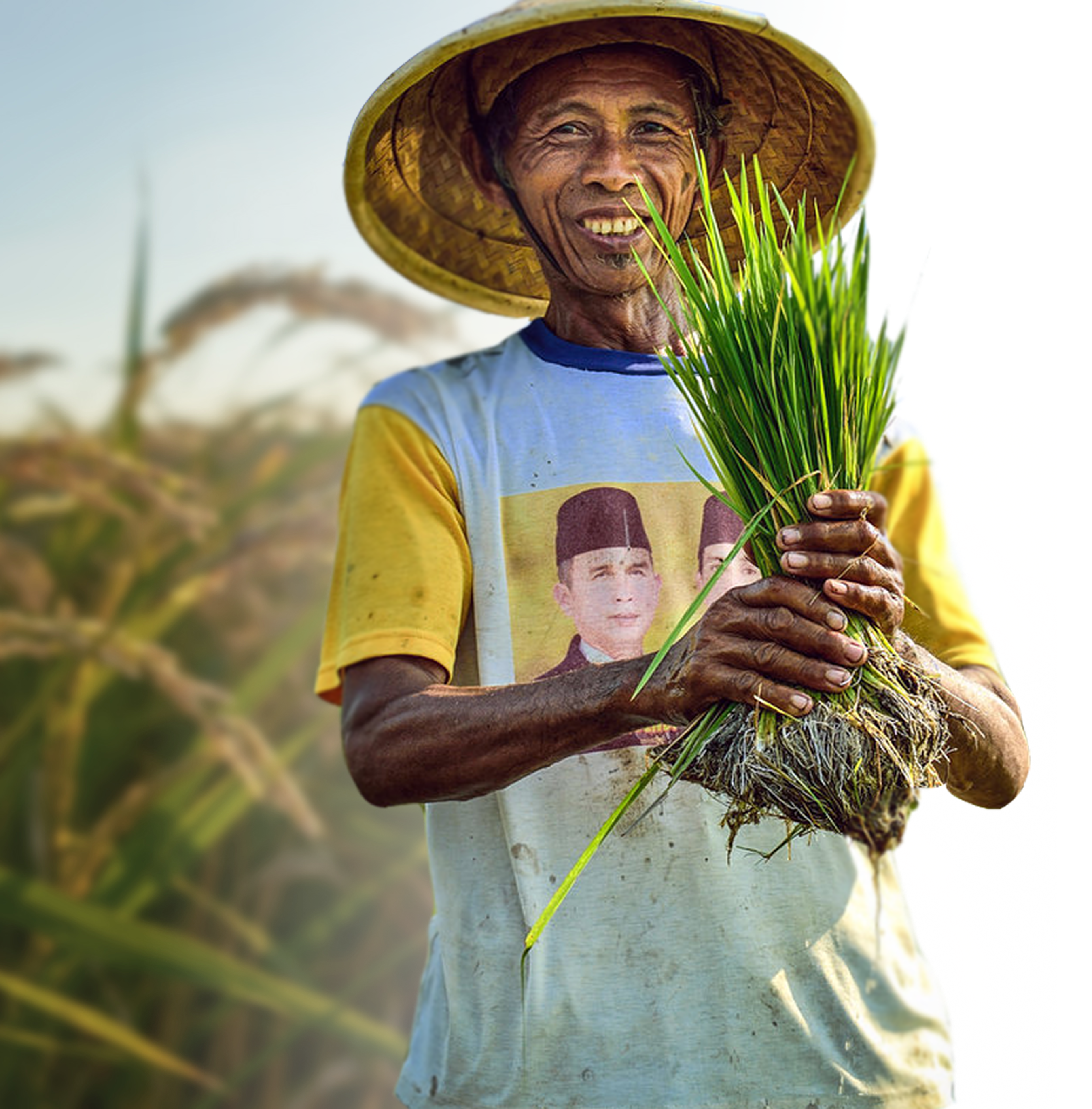 Petani lokal Organik Klub